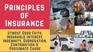 Principles of Insurance (Insurance, Insurance Contract & Insurance Practices)