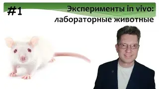 Лабораторные животные. Общие принципы работы. Мыши, крысы и другие.