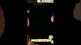 Kampus mengajar Day 79