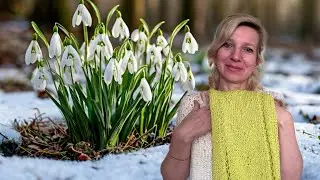 Sweet, gentle, spring-like 🌱/ About knitting, mummy, and craft shops 🧶