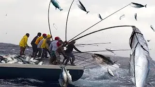 Let's Watch The Fisherman Catch Tuna In A Wonderful Way || Catching Fish Big on The Sea