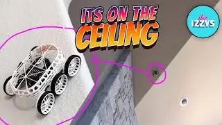 CAN THIS RC ROVER ACTUALLY CLIMB THE CEILING?!?!