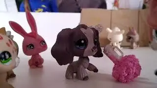 Lps: MV