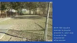 Room to play private off-leash space