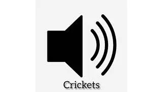 Meme Sound Effect