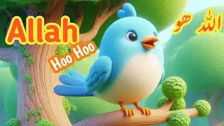 Allah Hoo Chirya Boli Chu Chu |  Muslim Songs For Kids