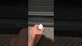 🥚 Яйцо - Порог