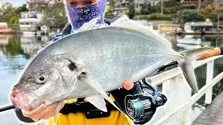 Strongest Fish in the World (Pound for Pound)
