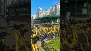Нужно! БОЛЬШЕ ! САМОКАТОВ 😅 СПб,  Комендантский проспект , май 2023