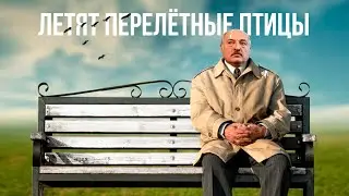 ЛЕТЯТ ПЕРЕЛЁТНЫЕ ПТИЦЫ / ПРОЦИШИН ОФІЦІЙНИЙ