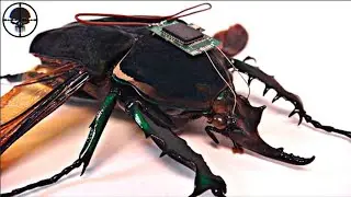 7 most ADVANCED MILITARY Technologies 💥