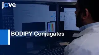 BODIPY Conjugates for Microscopy and Single-Molecule Tracking | Protocol Preview
