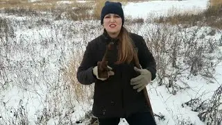 Зимний коп на ферме с MD4030