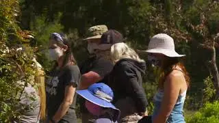 Sanctuary One 2021 summer commercial