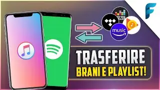 Transfer Songs and Playlists from Spotify, Apple Music, Tidal, and More for FREE! | Quick & Easy