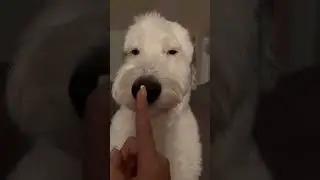 ben