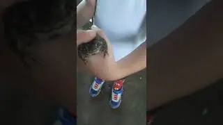 dahil maulan daming palaka sa bulacan :) 