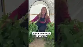 ДОРОГИЕ или ДЕШЕВЫ семена?😱 