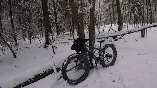 Лосиноостровский парк