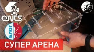 СУПЕР АРЕНА для муравьев! ВАЖНЫЕ НОВОСТИ!
