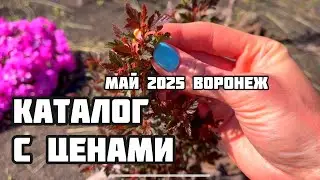Каталог с ценами. Май 2025г. Отправка по России из Воронежа.