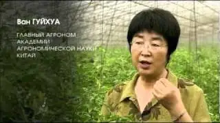Влияние структурированной воды на растения