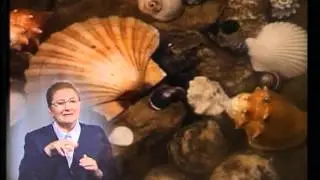 Происхождение. Погибший мир