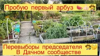 ПЕРЕВЫБОРЫ ПРЕДСЕДАТЕЛЯ 👩‍🌾В ОГОРОДНОМ СООБЩЕСТВЕ 🤔👩‍🌾ПРОБУЮ ПЕРВЫЙ АРБУЗ 🍉👍🏻