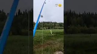 🦈Рыбалочка 🦈 #shorts ##рыбалка #щука #река