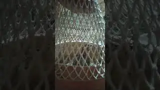 мана роса маст болган бедана