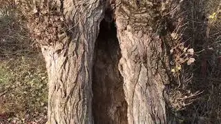 ОСЕННЯЯ РАЗВЕДКА ПЕРСПЕКТИВНЫХ МЕСТ
