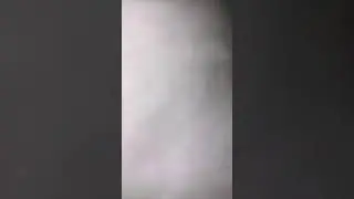 Это все грибы