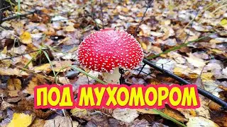 Кто здесь?
