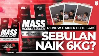 REVIEW GAINER ELITE LABS MASS MUSCLE GAINER