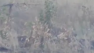 #Снайпер #ДНР снял на видео точный выстрел в украинского военного