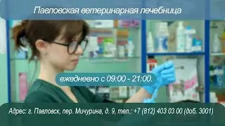 Павловская ветеринарная лечебница