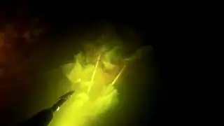 Ночная подводная охота в сентябре 2016 .