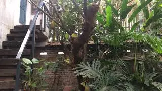 Cuối tuần