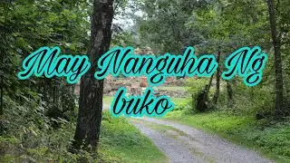 MAY UMAKYAT NG NYOG