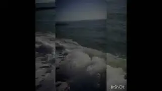 Адэ Абхизя сам пэ духуря перяс