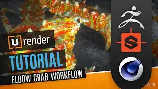 Elbow Crab Workflow (ZBrush, Substance Designer, C4D) - U-RENDER Tutorial