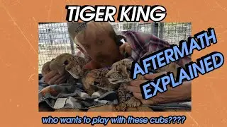 Tiger King (Netflix) Aftermath Explained - what's happened after the show? | Cloudy TV