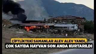 Çiftlikteki samanlar alev alev yandı...- Denizli Haberleri - HABERDENİZLİ.COM