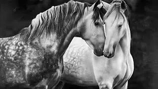 drawing horses with graphite and charcoal