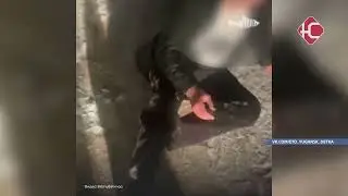 Полицейские Нефтеюганска задержали подозреваемого