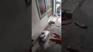 tame FF skill