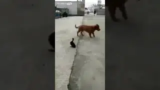 21 de marzo de 2018