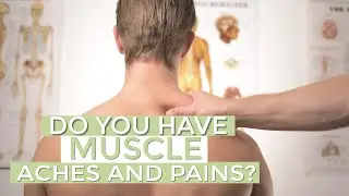 #95 Aches and Pains- Top Product