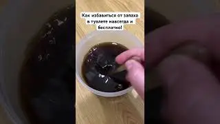 How to get rid of the smell in the toilet forever and for free! 