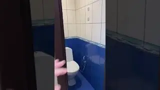 11 августа 2024 г.